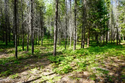 Property 26-480 - Photo 2