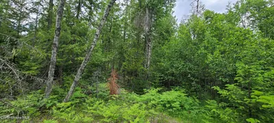 Property 26-5846 - Photo 9
