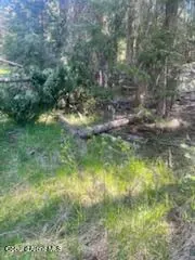 Property 26-3013 - Photo 4