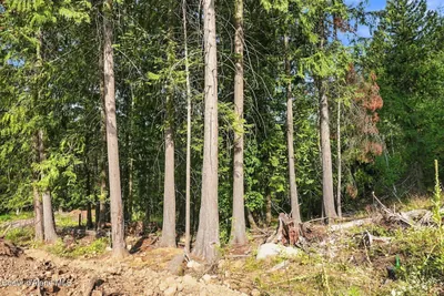 Property 26-9659 - Photo 15