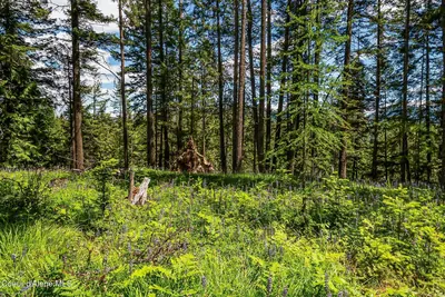 Property 26-6315 - Photo 27