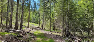 Property 26-5573 - Photo 5