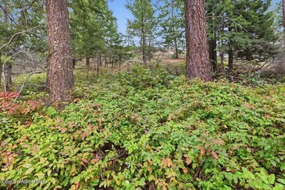 Property 26-9708 - Photo 17