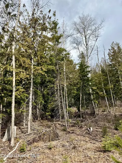 Property 26-2440 - Photo 15