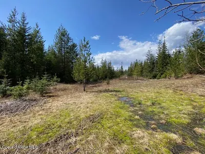 Property 25-4559 - Photo 15