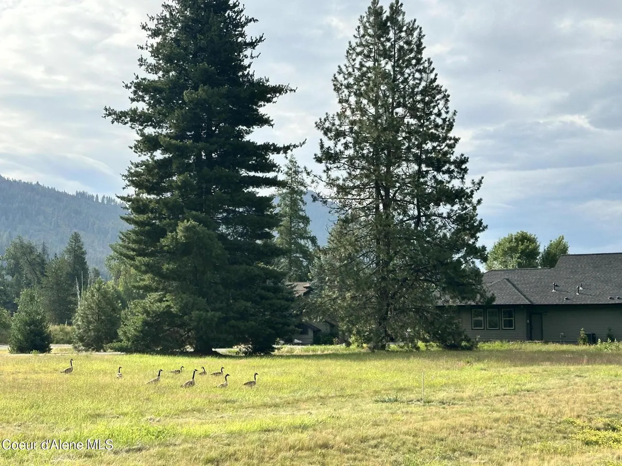 Property 26-9440 - Photo 1