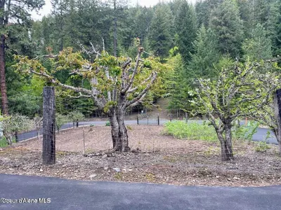 Property 26-3375 - Photo 39