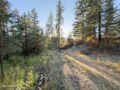Property 26-10003 - Photo 9