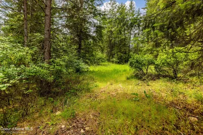 Property 26-5782 - Photo 106