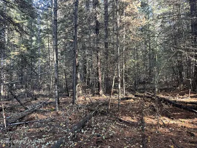 Property 25-10436 - Photo 10
