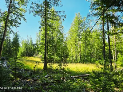 Property 25-8668 - Photo 2