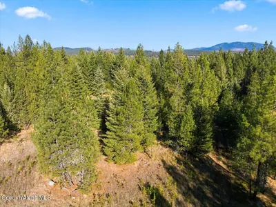 Property 26-10576 - Photo 5