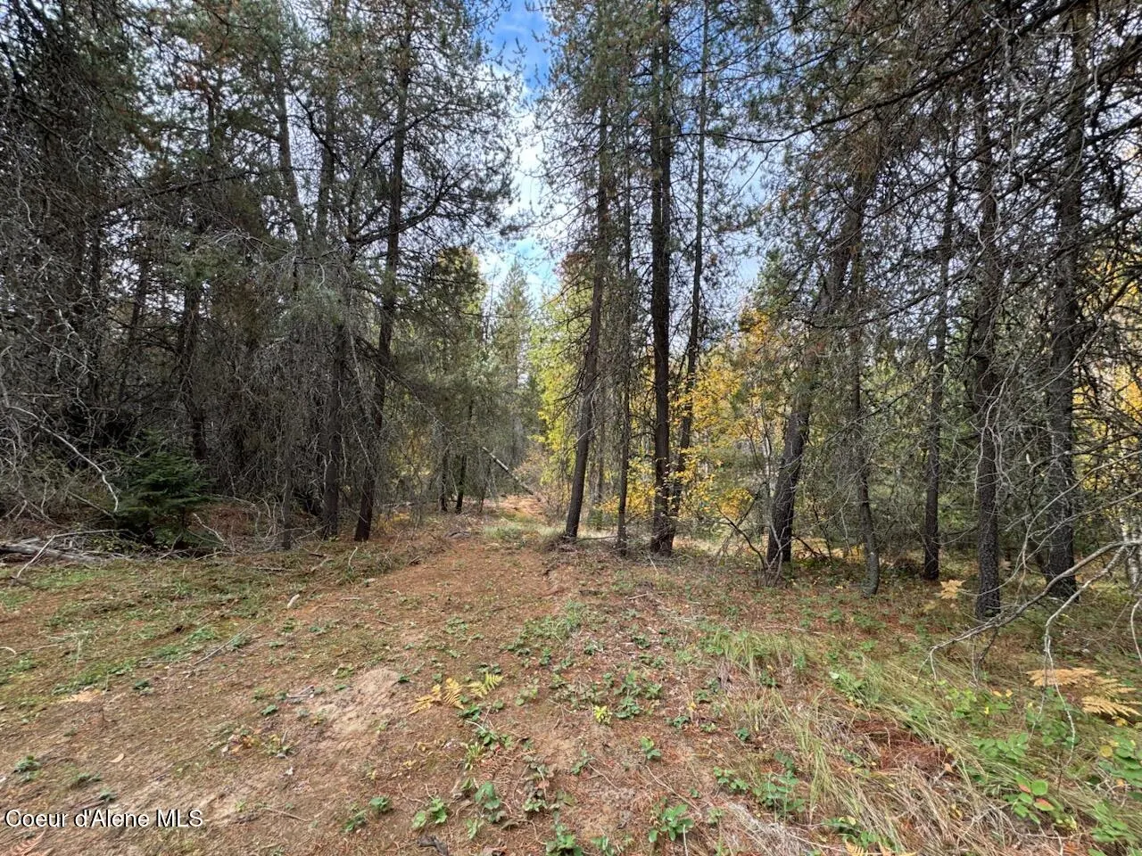 Property 26-10175 - Photo 1
