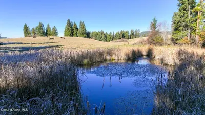 Property 26-1845 - Photo 9