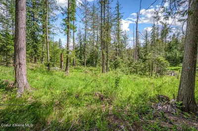 Property 26-9165 - Photo 4
