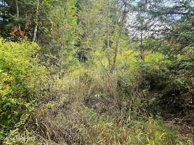 Property 26-9775 - Photo 17
