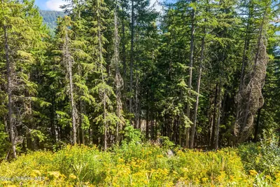 Property 26-8689 - Photo 6