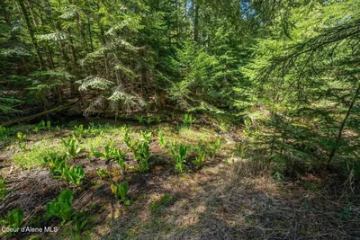 Property 26-10197 - Photo 6