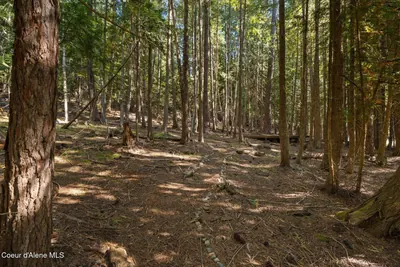 Property 26-10243 - Photo 57