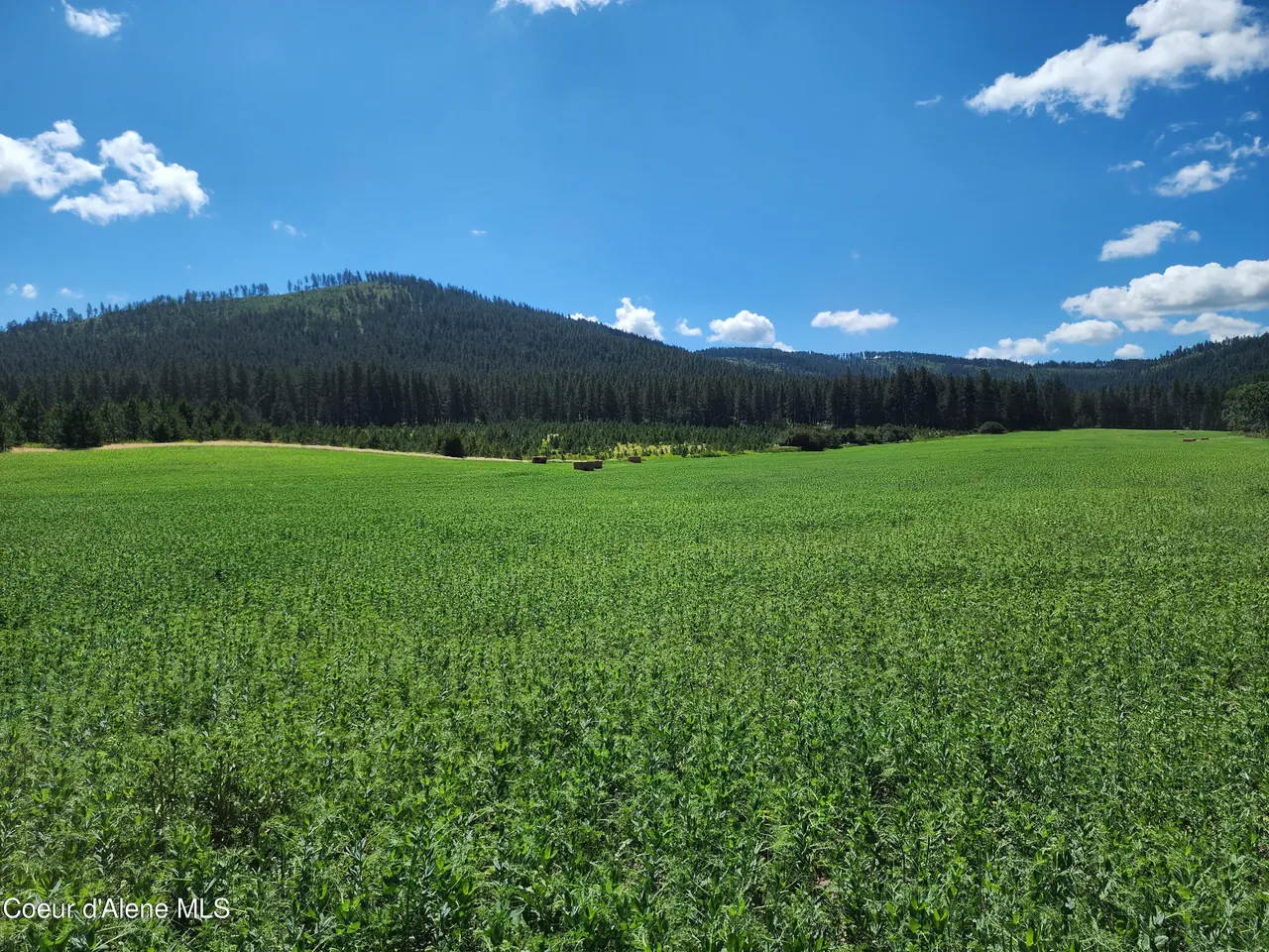 Property 26-4839 - Photo 1