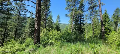 Property 26-2454 - Photo 4