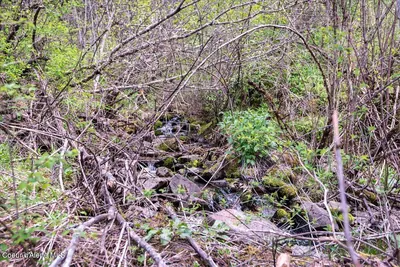 Property 26-9848 - Photo 17
