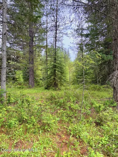 Property 26-6016 - Photo 15