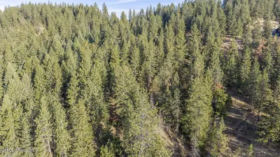 Property 26-10261 - Photo 7