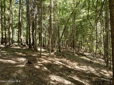 Property 26-6594 - Photo 11