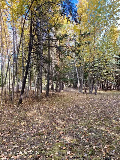 Property 26-2687 - Photo 12