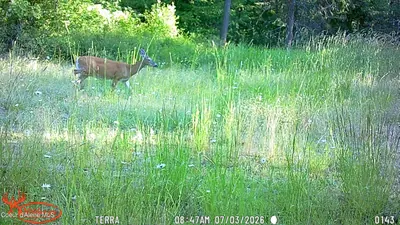 Property 26-7348 - Photo 23