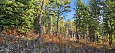 Property 26-7600 - Photo 14
