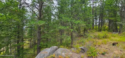 Property 26-7529 - Photo 15