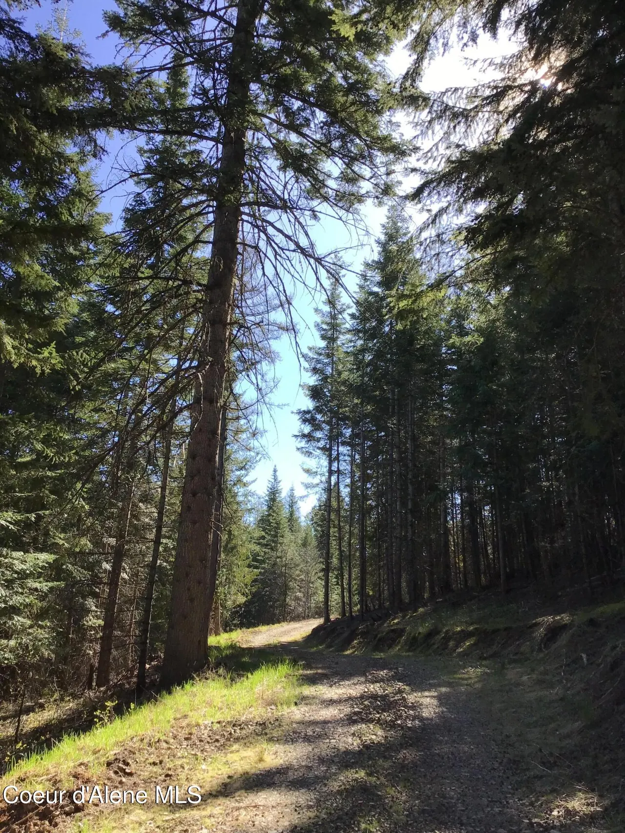 Property 26-5312 - Photo 1