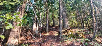 Property 26-8613 - Photo 36