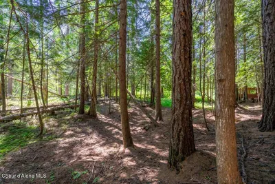 Property 25-11291 - Photo 12