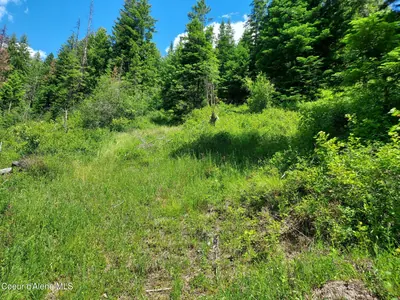 Property 26-6356 - Photo 13