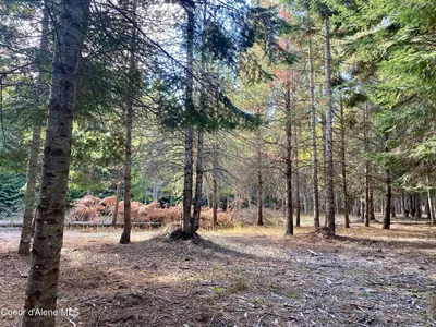 Property 26-2687 - Photo 25