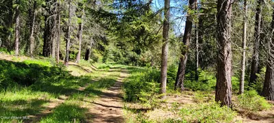 Property 25-5745 - Photo 20