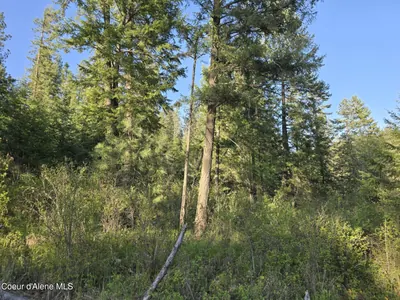 Property 26-2170 - Photo 12