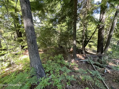 Property 26-4197 - Photo 5