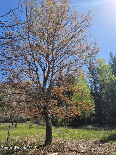 Property 26-4055 - Photo 13