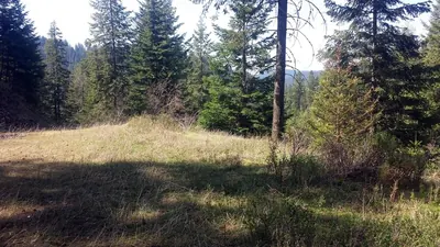 Property 26-6356 - Photo 16