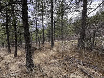 Property 26-8202 - Photo 34