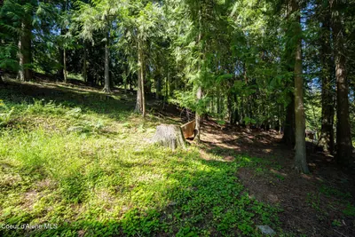 Property 26-4341 - Photo 4