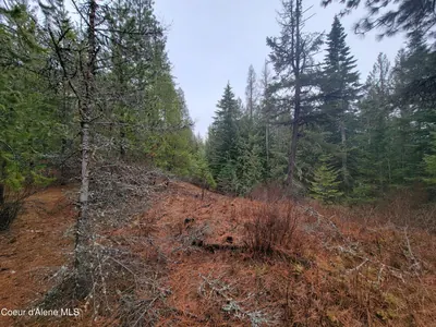 Property 26-2474 - Photo 7