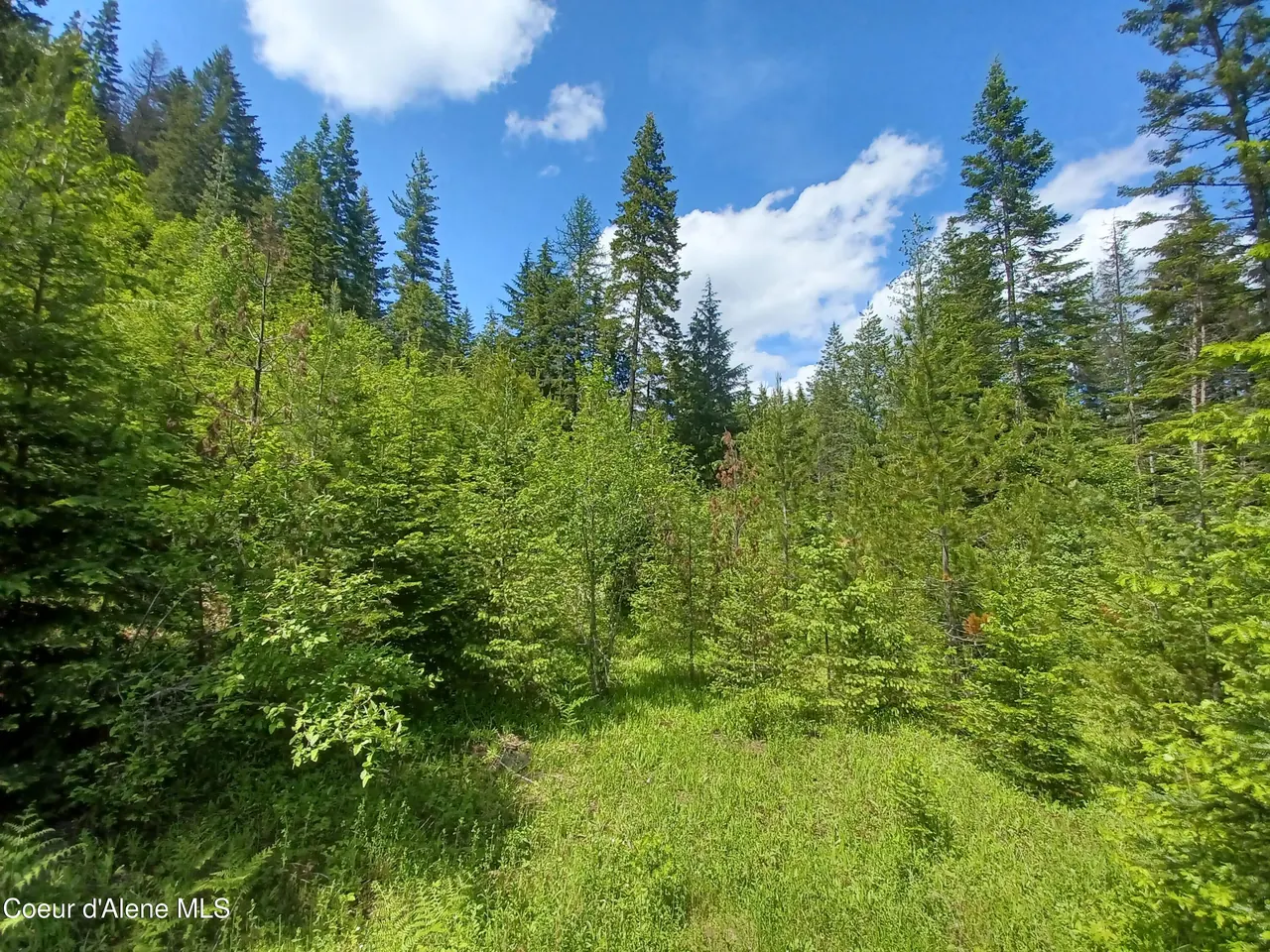 Property 26-466 - Photo 1