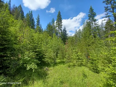 Property 26-466 - Photo 1