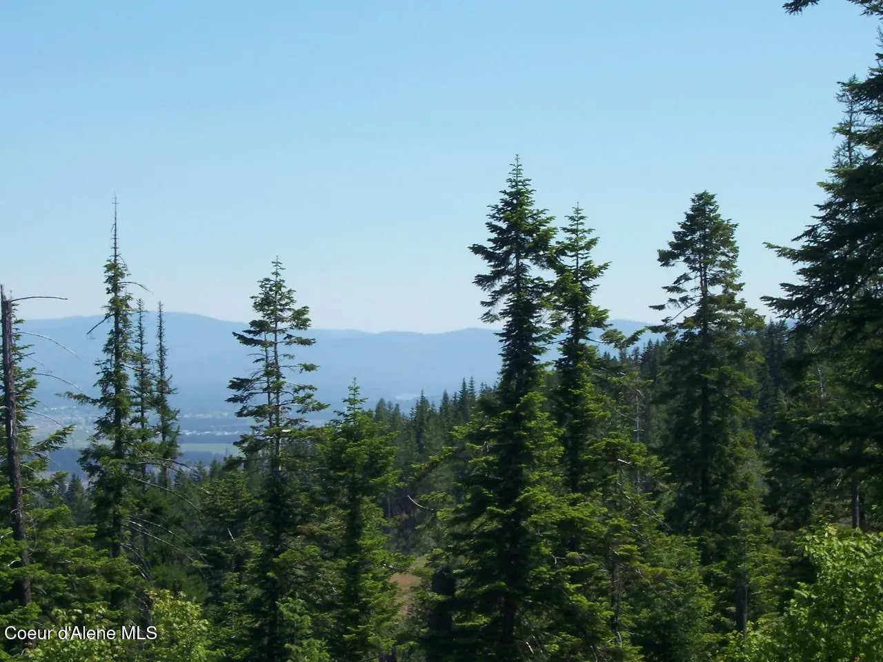 Property 25-8954 - Photo 1