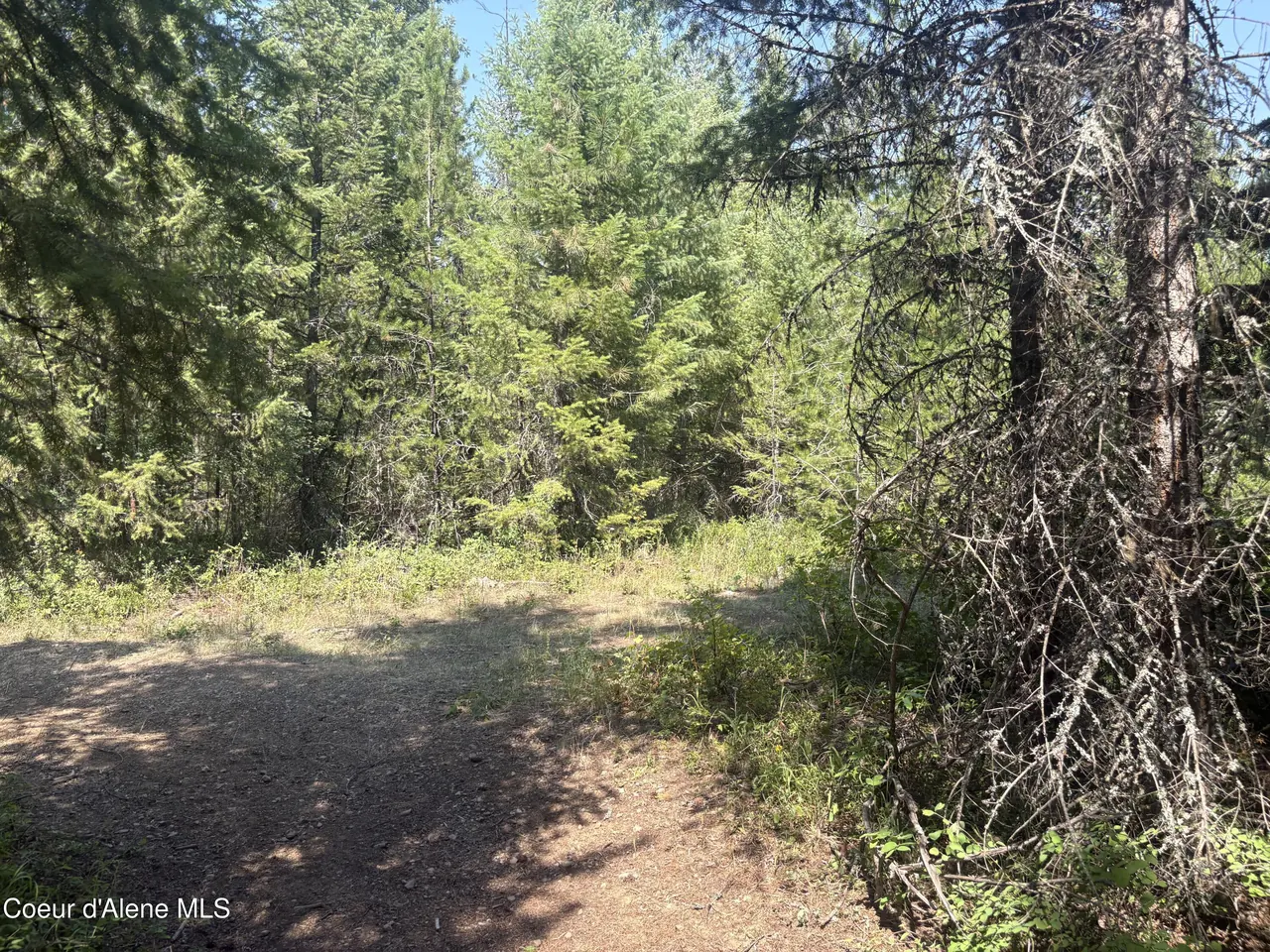 Property 26-8238 - Photo 1